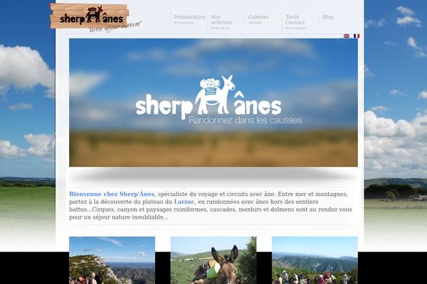 Display theme site design template sample