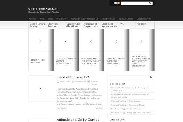 Newscast theme site design template sample