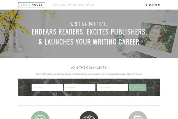 Chique theme site design template sample