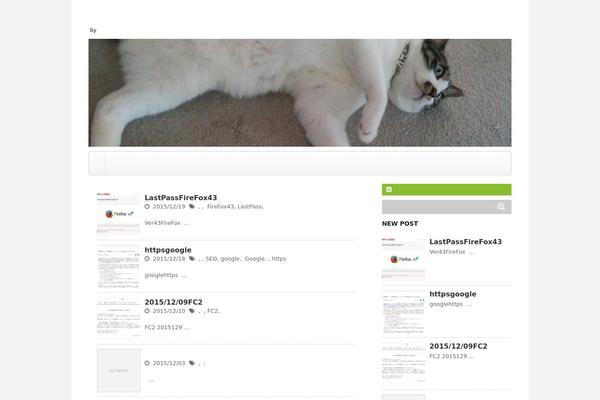 Affinger_20150613 theme site design template sample