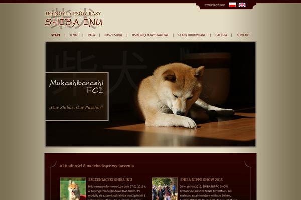 Site using Autoptimize plugin