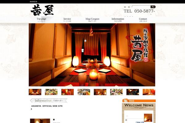 Flash-white theme websites examples