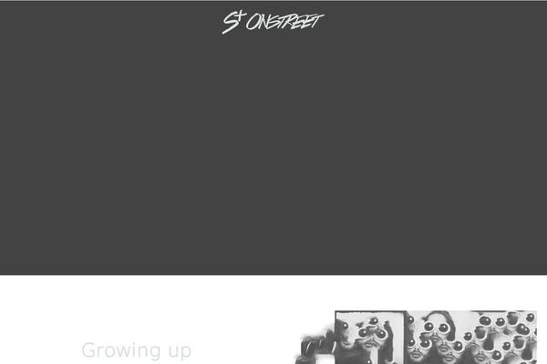 Site using Social Media Followers Counter plugin