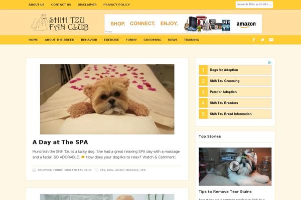 Somozine-somo theme site design template sample