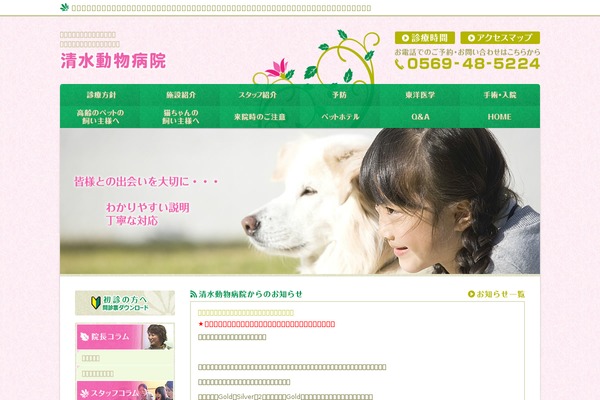 shimizu-ah.jp site used Rights
