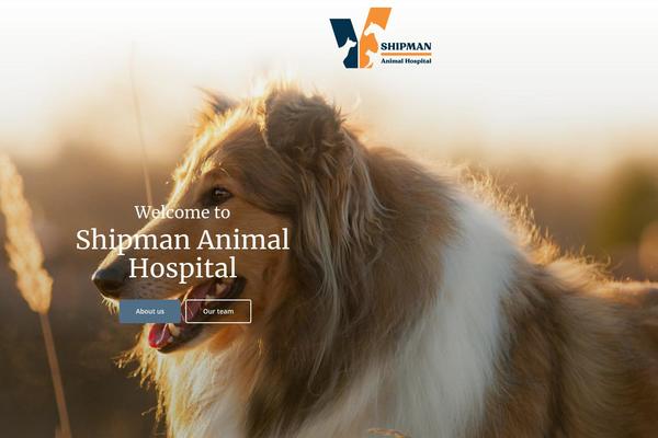 Site using Lifelearn-accessibility plugin