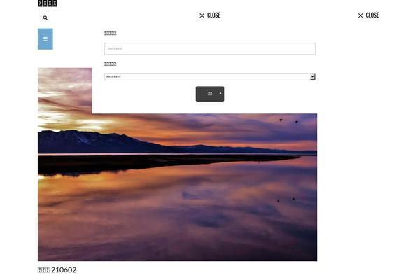 The-thor theme site design template sample