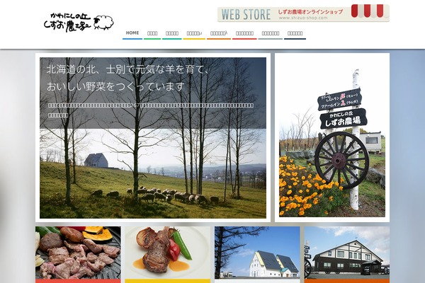 Site using Full Page/ Full width Background Slider plugin