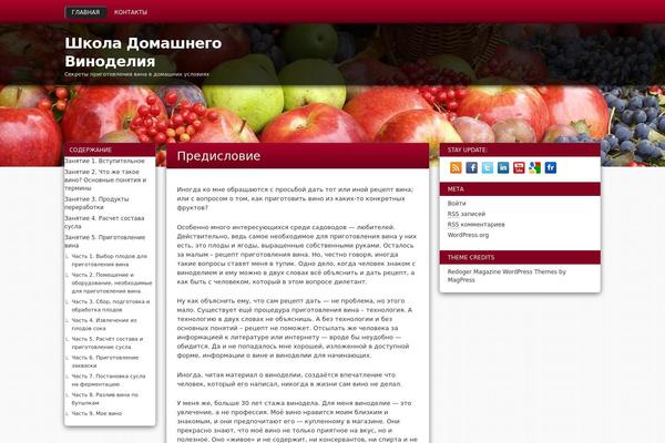 redoger WordPress theme, websites list used redoger theme redoger theme websites examples