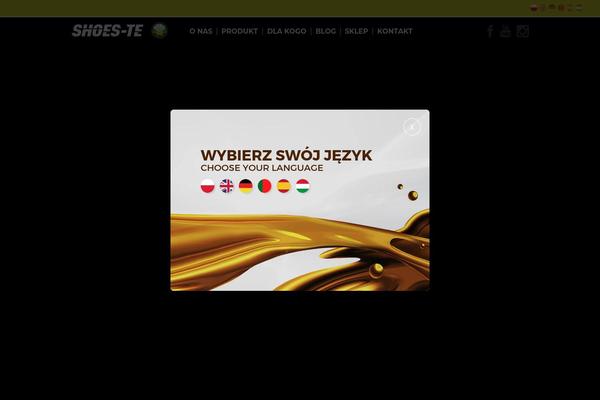 Site using qTranslate X plugin