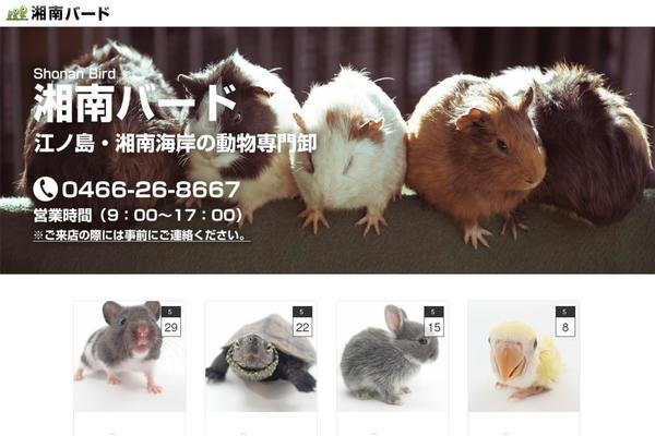 shonan-bird.com site used Shonan_bird
