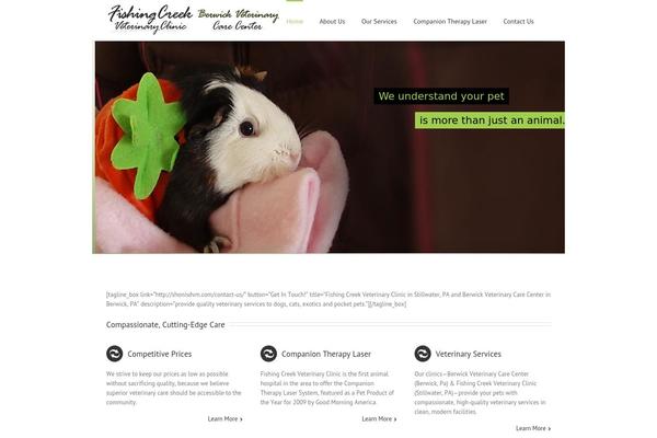 Avada theme site design template sample