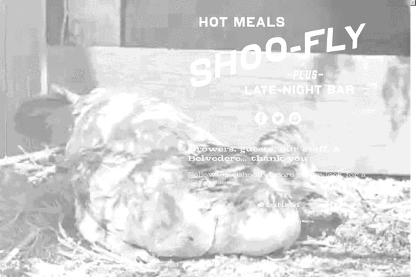 shooflydiner theme websites examples