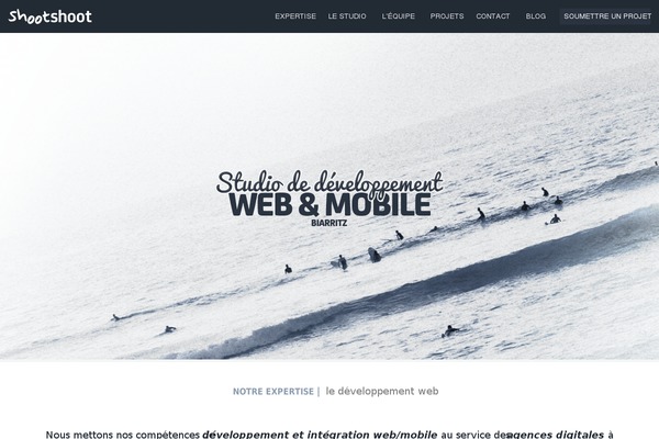 Moose theme site design template sample