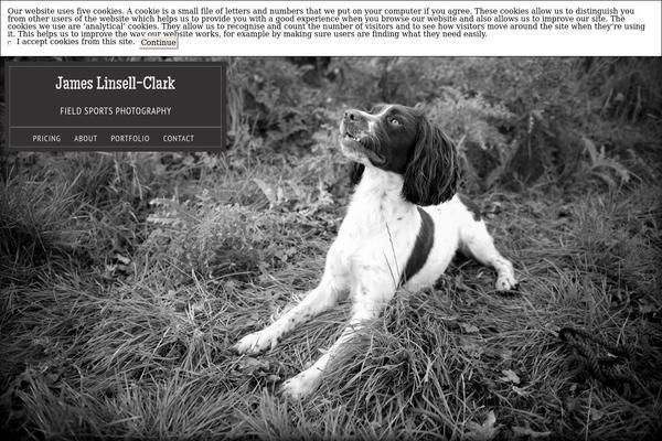 Simplest theme site design template sample