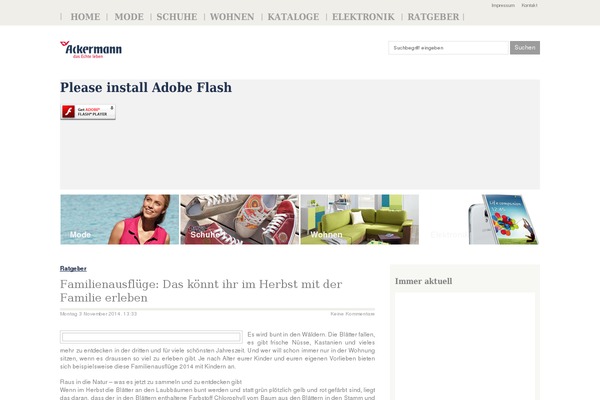 Pulse theme site design template sample
