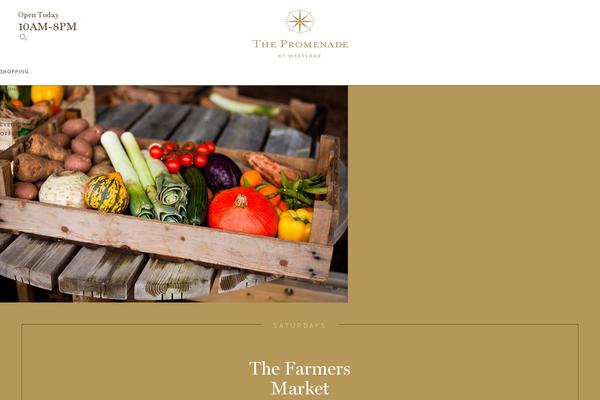 shoppromenade.com site used Caruso-retail