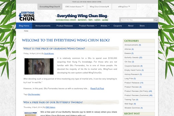 everythingwingchun theme websites examples