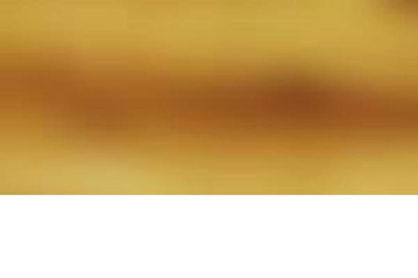 Blocksy theme site design template sample