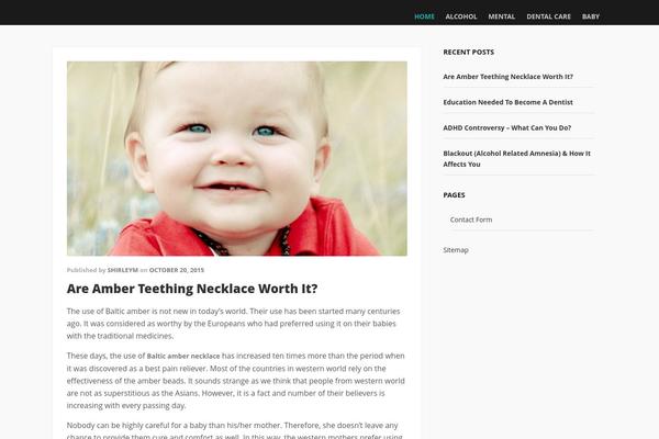 Santri theme site design template sample