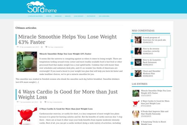 Sora theme site design template sample