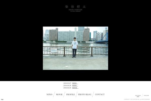 Ss theme site design template sample