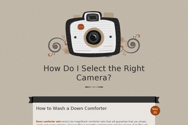 Vintage Camera theme site design template sample