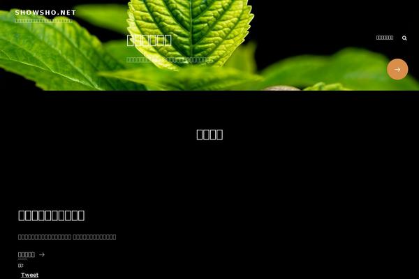 PhotoFocus theme site design template sample