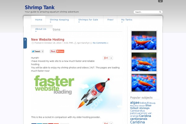 dfBlog theme site design template sample