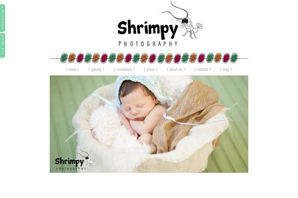 Prophoto4 theme site design template sample