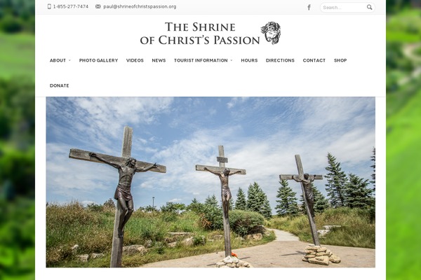 Savia theme site design template sample