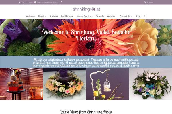Divi theme site design template sample