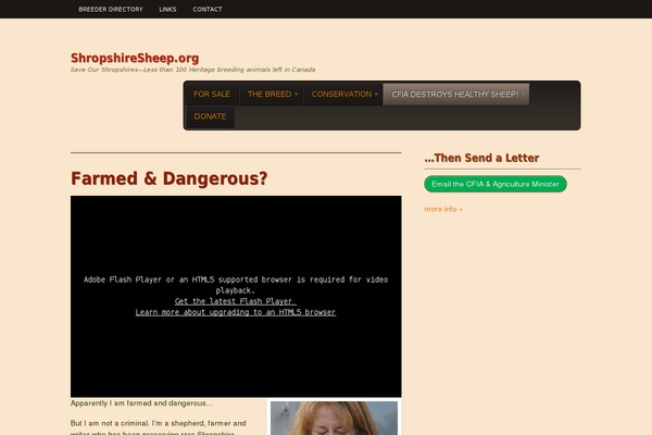 Editorial theme site design template sample