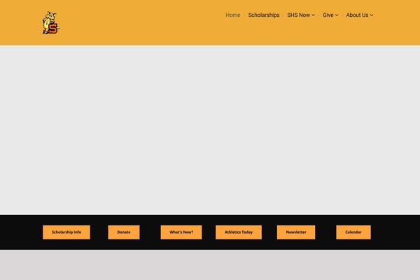 Wiz theme site design template sample
