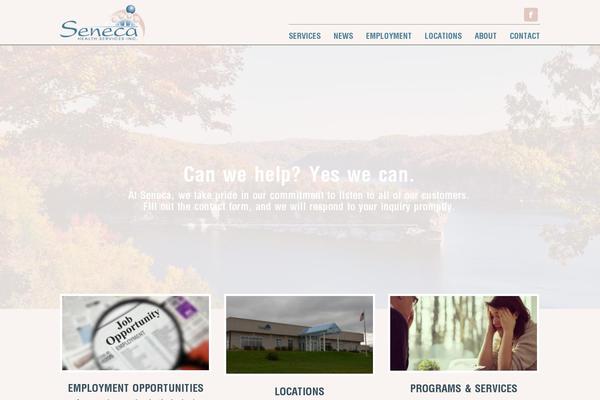 Site using Tipsy Social Icons plugin