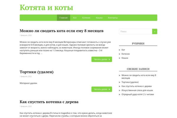 Basicpro theme site design template sample