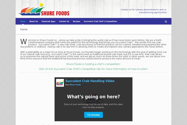 Pinpoint theme site design template sample