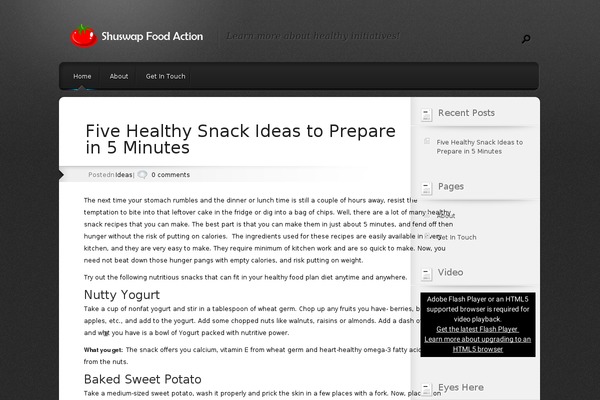 Polished theme site design template sample