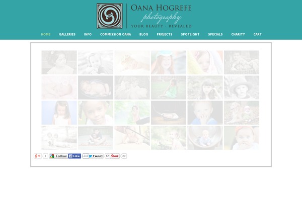 Site using Simple Social Expandable plugin