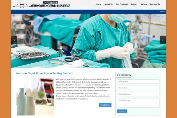 zeeBusiness theme site design template sample