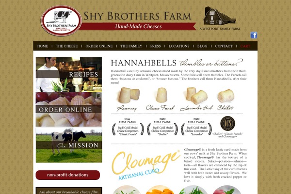 AndyBlue theme site design template sample