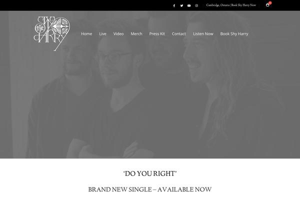 Site using Elfsight-instagram-feed-cc plugin