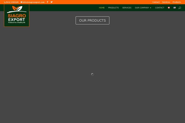 Divi child theme site design template sample