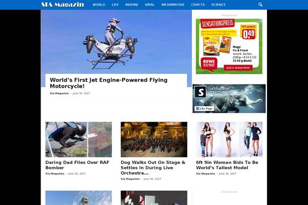 NewsMag theme site design template sample
