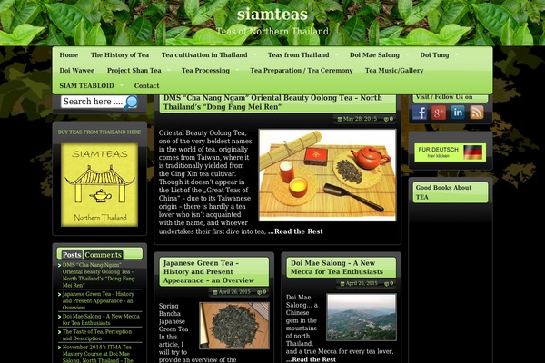 Theluxury theme site design template sample