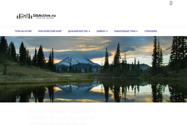 Site using Wp-yandex-metrika plugin