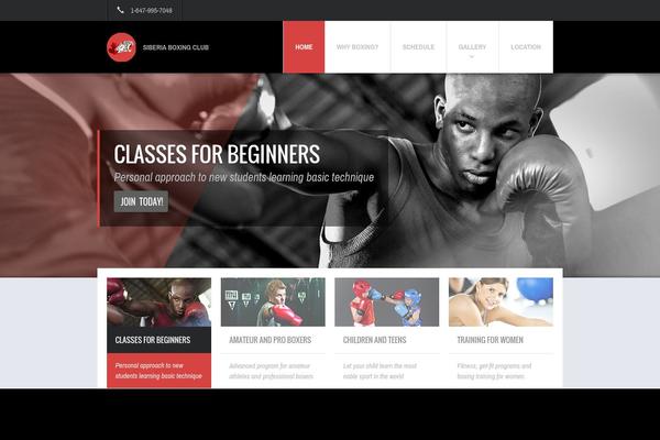 Fit Wp theme site design template sample