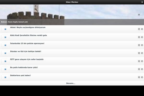 siber theme websites examples