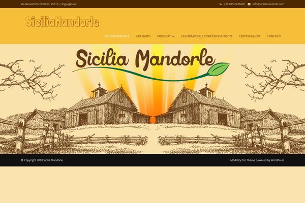 Modalitypro theme site design template sample