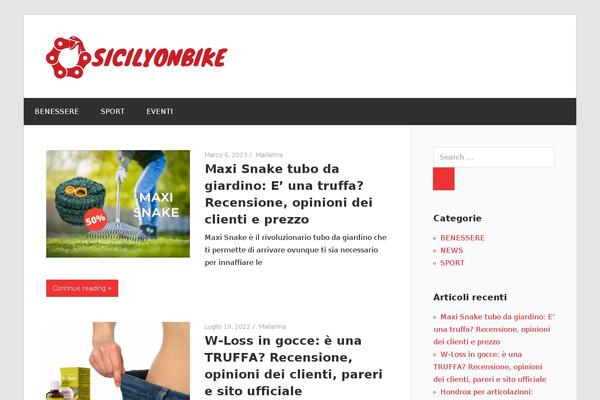 Wellington theme site design template sample